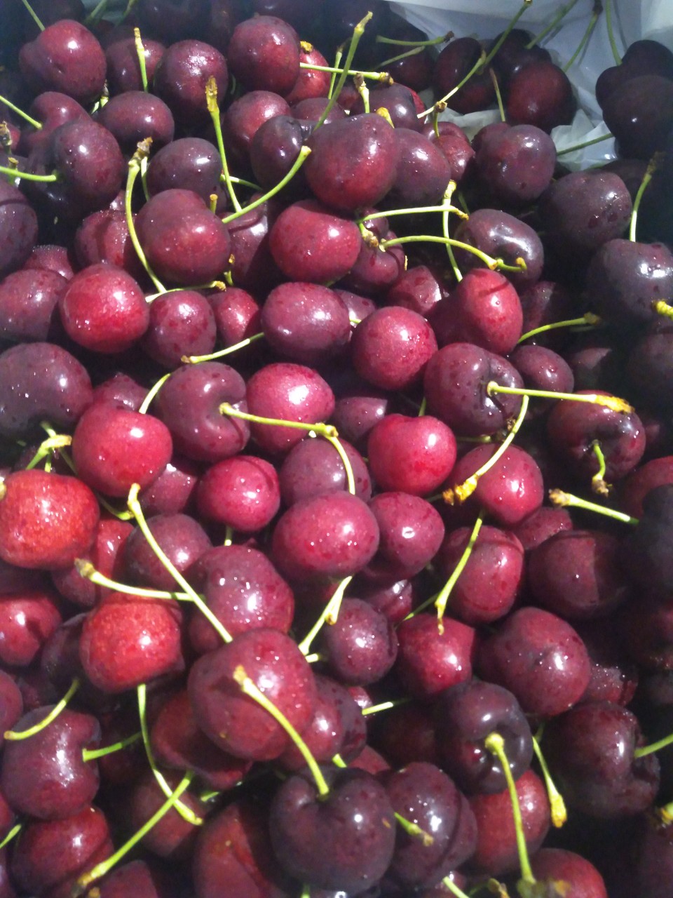 thủ tục nhập khẩu trái cây tươi cherry